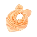 Vibrant peach orange square silk satin scarf for kids performances and professional attire - Pale Green