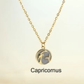 Golden titanium necklace with grey enamel Capricorn pendant and crystal details - Capricorn