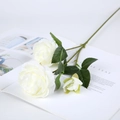 Renoncule artificielle blanche à trois têtes sur un fond de magazine ouvert - 3 Têtes / Blanc