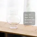 Minimalist transparent glass vase for flowers with 18.5cm height and round flat body - Clear