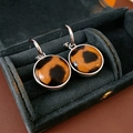 Close-up of leopard print hoop earrings presented in a green velvet jewelry case - 20# Silver Metal Edge Round Leopard