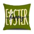 Green Easter pillow cover with happy carrot design for festive sofa decoration - Green EASTER Letter