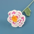 Hand-knitted pink and white peony crochet flower detail with green stem on blue background - Rose Red