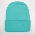 Solid mint green knit beanie hat for winter warmth with a clean minimalist design - One Size / Lake Blue