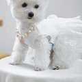 Detail of white lace pet dress with floral embroidery and pink crown pearl necklace - Crown Bow Star Moon Pearl Necklace-Pink