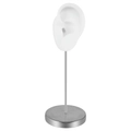 White silicone ear model with metal stand for earring and stud jewelry display - Left Ear / Clear