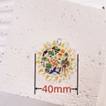 Detail of 40mm acrylic Brazil theme sun pendant with parrot and palm tree patterns - Sun Pattern
