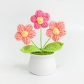 Close-up of handmade crochet pink and orange puff flowers in a white ceramic pot - Puff Flower Pink
