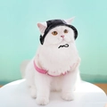 Detail view of a white cat wearing a black sun hat and pink mesh harness set - S (Head 27cm) / Black Tie-dye
