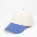 Detailed texture of blue and beige corduroy fabric on a stylish baseball cap profile - Adjustable / Cream/Blue