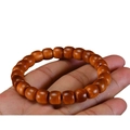Polished Taihang Cypress wood bead bracelet with natural brown grain on wrist - Thuja Old Style Beads 10*11mm