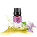 100% Pure Clove Essential Oil in 10ml amber bottle for aromatherapy and massage use - Clover Single Formula