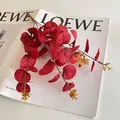 Artificial deep red eucalyptus stem with yellow berries on white magazine background - Red