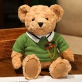 Plush light brown teddy bear in green knitted sweater with Teddy foot embroidery - 28cm(0.3kg) / Green Sweater Style