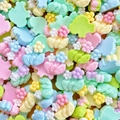 Nahaufnahme bunter Harz-Cabochons mit Blumen, Schmetterlingen und süßen Tierformen für DIY - Fünfblättrige Blume mit grünen Blättern