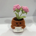 Handmade crochet potted pink roses with Thank You message and a smiling face design - Positive Potted-Double Head Rose Pink