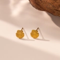 Boucles d'oreilles minimalistes en forme de coquillage dorées sur fond neutre doux - Boucles d'oreilles Clous Coquille(G324) / Or
