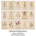 Vintage floral illustration craft paper, pack of 30 botanical scrapbooking sheets - Flower Illustration