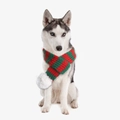 Christmas striped knit pet scarf with white pompom shown on a Husky dog - Red and Green Striped Knitted Scarf