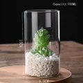 750ml glass terrarium jar for hydroponic plants, 15cm height with white stones - D8.5cm*H15cm (750ML)