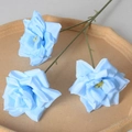 3-Head Rose Blue