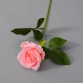 Seide Rosa