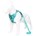 Breathable mint green mesh dog harness and leash set with reflective trim for pets - S / Lake Blue