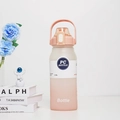 2L pink matte sports water bottle with portable handle and scale mark for fitness - 2000ml / Pink-Frosted