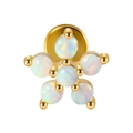 Gold stainless steel labret stud featuring a five-petal white opal flower design - 1.2x6mm / Gold-6 OP17 Opal Flower