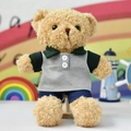 Soft teddy bear plush toy wearing a stylish grey and green polo shirt - 30 cm / Green Gray
