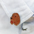 Bloodhound