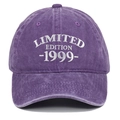 Front detail view of purple washed cotton baseball cap with Limited Edition 1999 embroidery - Adjustable / Purple