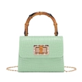 Mint green PVC small crossbody bag with crocodile pattern and bamboo top handle - Light Green