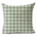 Light Green Beige Gingham