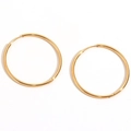 Orecchini a cerchio minimalisti in acciaio inossidabile placcato oro 18K su sfondo bianco - 50mm (Diametro 2mm)