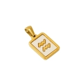 Gouden Waterman sterrenbeeld hanger ketting met witte schelp op roestvrij staal - Waterman