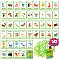 Educational set of 50 animal flashcards for toddlers with storage box and binder ring - Animal Cognition 1 50 Sheets