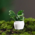 Miniature dollhouse potted plant with green leaves in a white round pot for garden decor - Broad Leaf Style (No. 4)