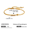 Dettaglio del bracciale in acciaio inossidabile 18K con ciondolo a cuore e diamanti - Stile Ciondolo Cuore Pietra Delicata (JDB0306001)