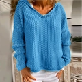 Detail of blue hollow-out knit hoodie featuring loose fit design and sheer mesh texture - S / Sky Blue