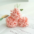 Handmade crochet carnation bouquet in soft pink yarn for Mother's Day home decoration - Carnation Pure Pink