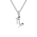 Silver Capricorn zodiac sign pendant necklace in polished stainless steel for women - Capricorn-Steel Color