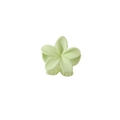 Pinza per capelli a forma di fiore verde chiaro minimalista in resina opaca - Verde Chiaro Opaco
