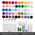 Kit de feutrage à l'aiguille DIY avec 50 laines colorées et set d'outils complet - 50 Couleurs Laine 3g + Sac à Outils