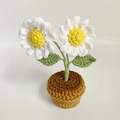 Handmade crochet daisy potted plant with white flowers and green leaves in a brown pot - Double Head Daisy Potted Plant Finished
