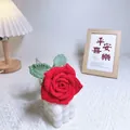 Handmade crochet bright red rose with green leaves in a creative white round base - Thai Rose Red