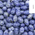 Polished egg-shaped Sodalite stones featuring natural blue and white mottled patterns - Sodalite (1pc)