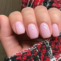 Glossy translucent pink square round press-on nails for a clean and elegant look - Medium Square / Milky Pink