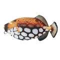 Realistic clown triggerfish shaped pencil case with orange patterns and white spots - Flower Fish