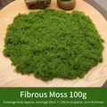 Artificial filamentous green moss 100g pack for DIY miniature garden landscape decor - 100 g / Light Green